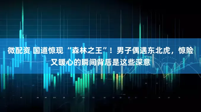 微配资 国道惊现 “森林之王”！男子偶遇东北虎，惊险又暖心的瞬间背后是这些深意